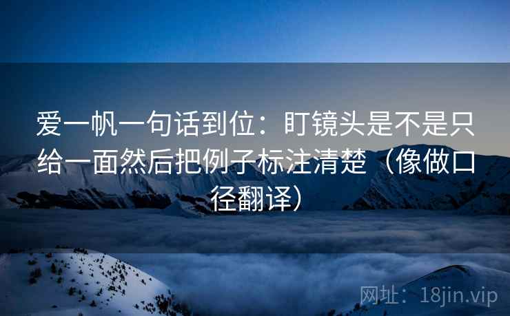 爱一帆一句话到位：盯镜头是不是只给一面然后把例子标注清楚（像做口径翻译）